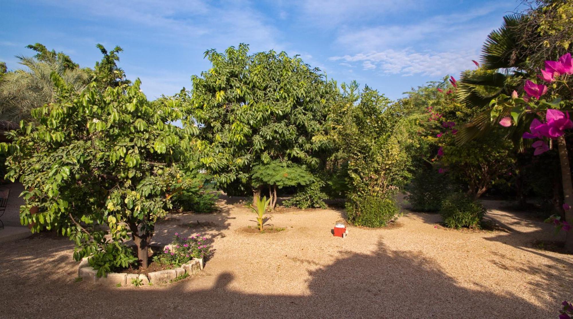 Auberge Plein Soleil Mbodiène Extérieur photo